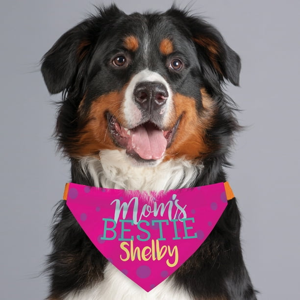 Personalized Dog Bandanas with Collar mothers day gift Dog Mom Bandana gift Dog Mom Gift Dog Collar with Bandana
